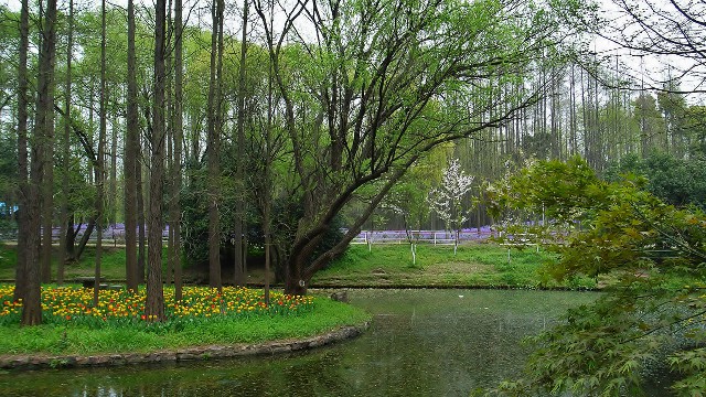 拼多多补单软件