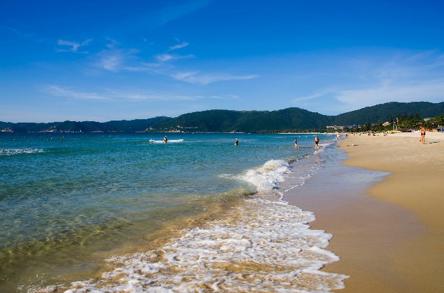 拼多多补单软件