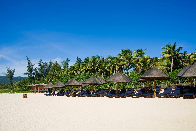 拼多多补单软件