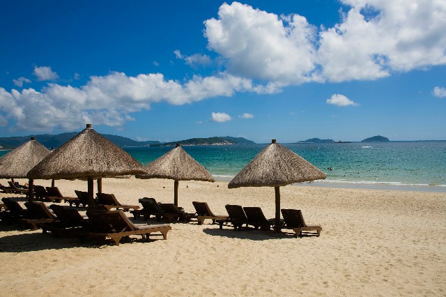 拼多多补单软件