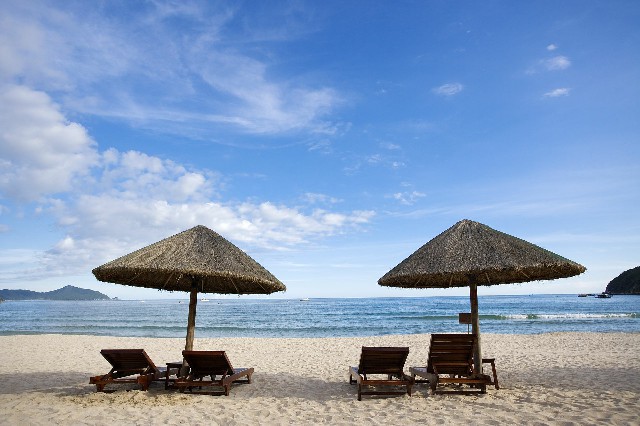 拼多多补单软件