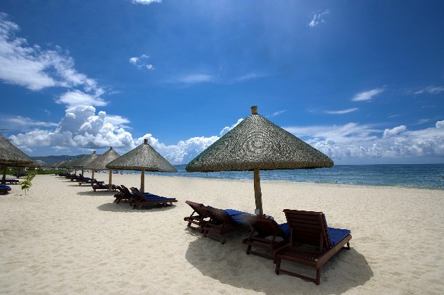 拼多多补单软件