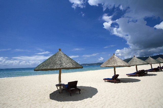 拼多多补单软件