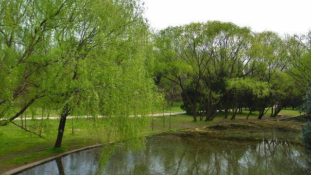 拼多多补单软件