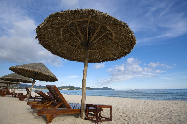 拼多多补单软件