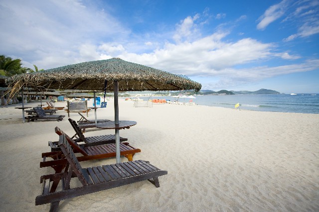 拼多多补单软件