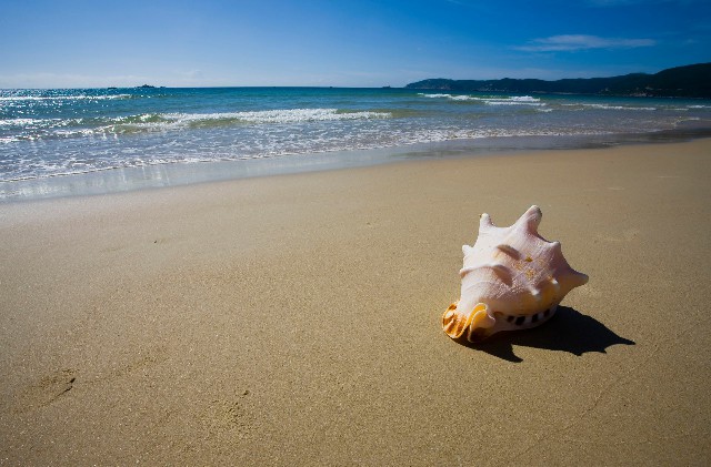 拼多多补单软件