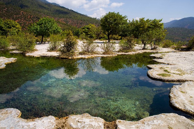 拼多多补单软件