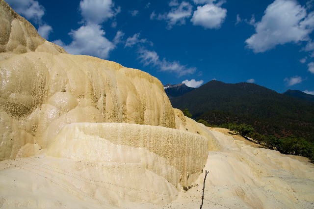 拼多多补单软件