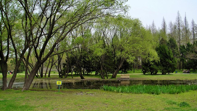 拼多多补单软件