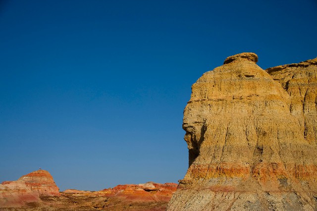 拼多多补单软件