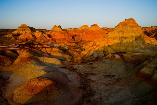 拼多多补单软件