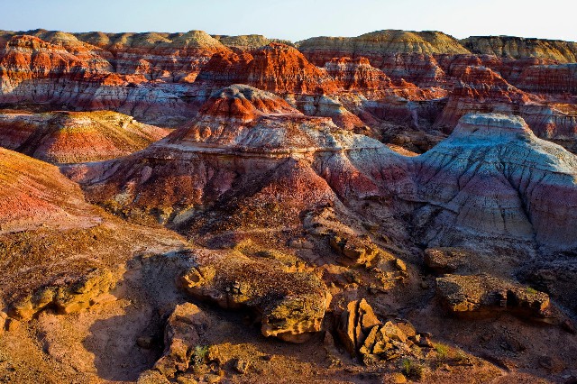 拼多多补单软件