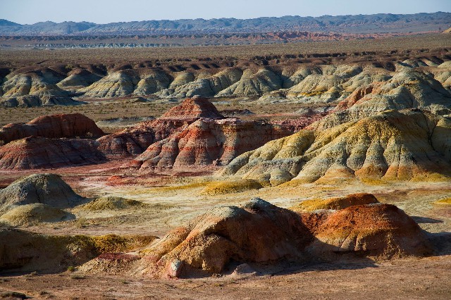 拼多多补单软件