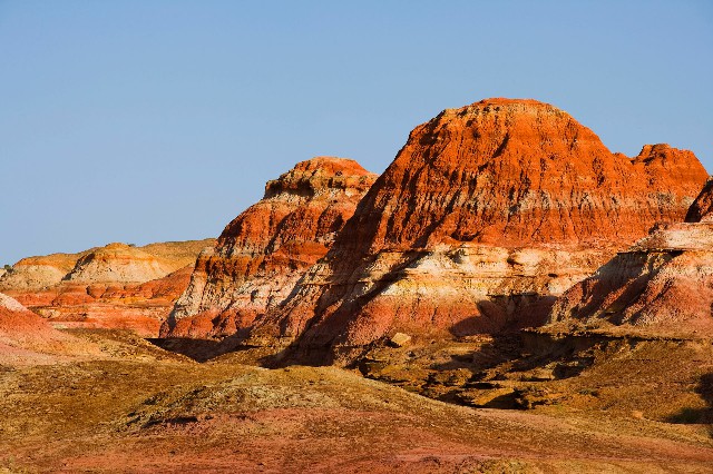 拼多多补单软件