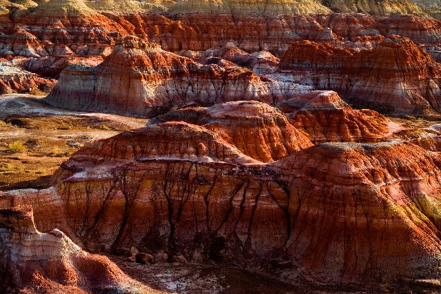 拼多多补单软件