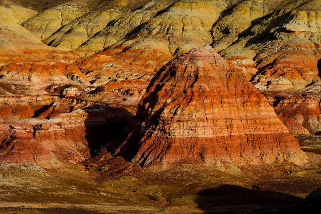 拼多多补单软件