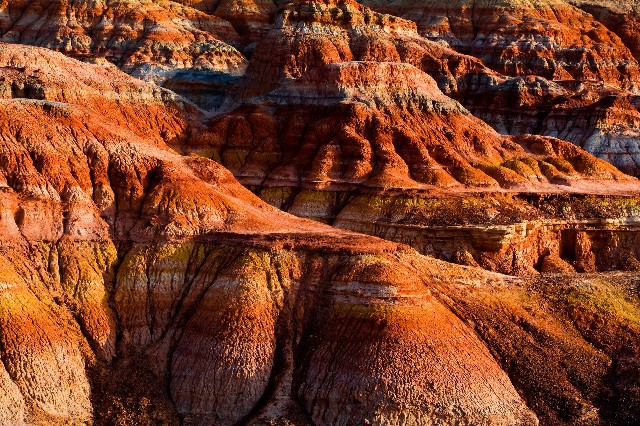 拼多多补单软件
