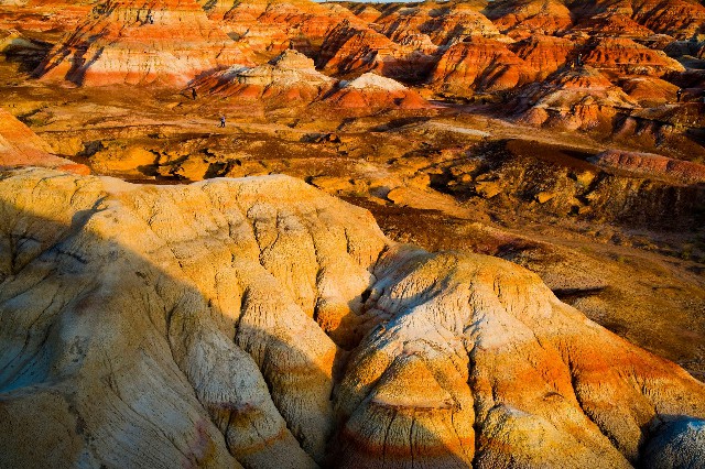 拼多多补单软件