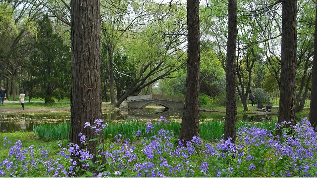 拼多多补单软件