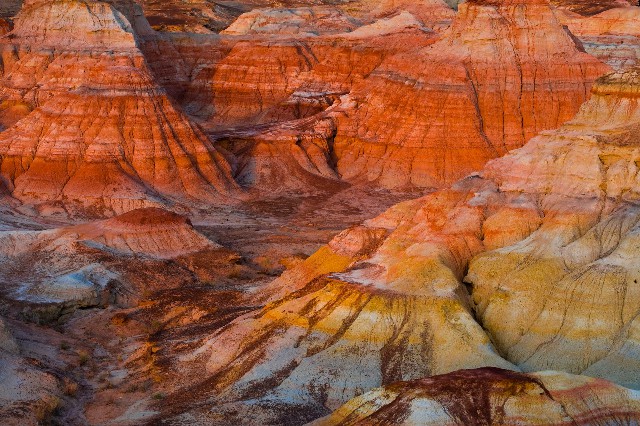 拼多多补单软件