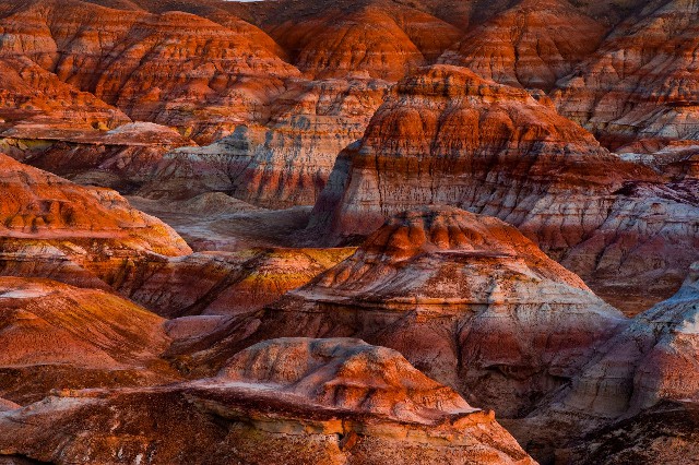 拼多多补单软件