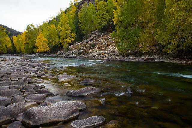 拼多多补单软件