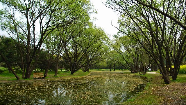 拼多多补单软件