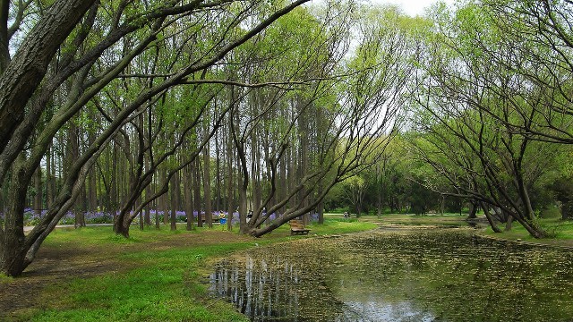 拼多多补单软件