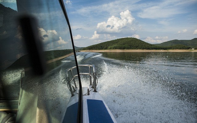 拼多多补单软件