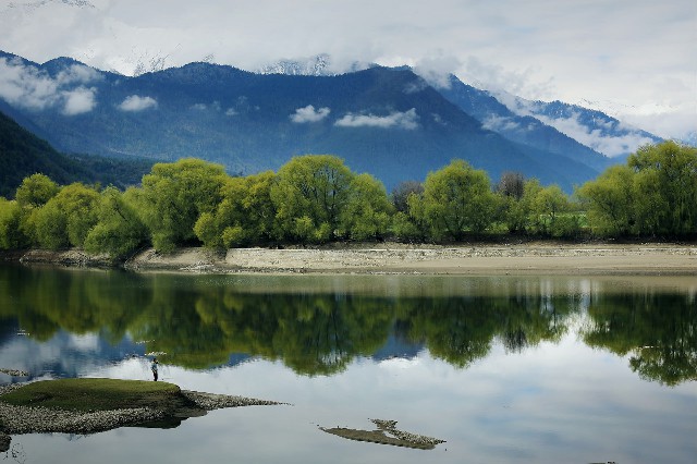 拼多多补单软件