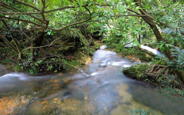 拼多多补单软件