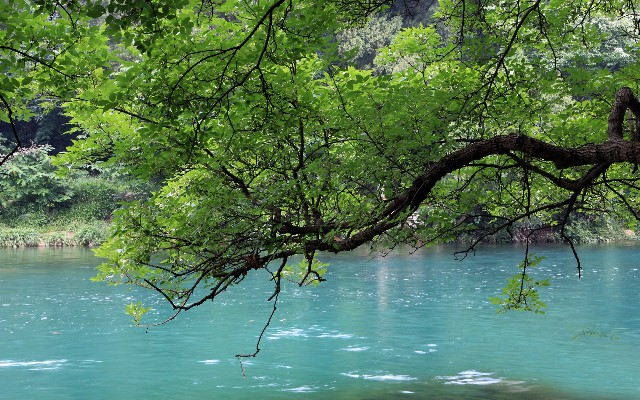 拼多多补单软件