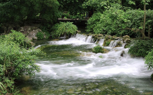 拼多多补单软件