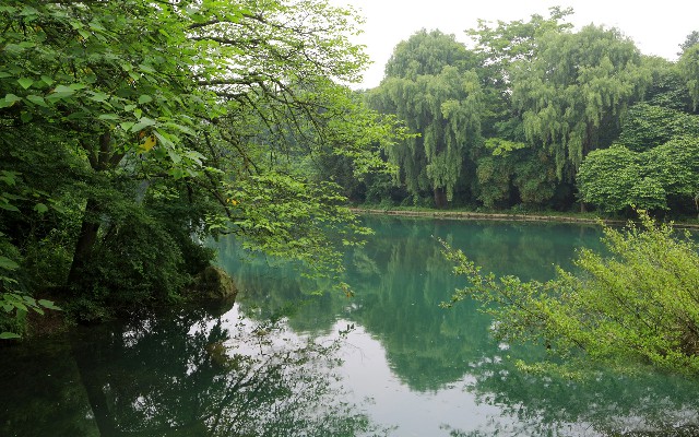 拼多多补单软件