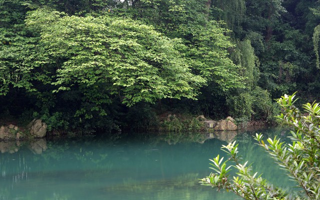 拼多多补单软件