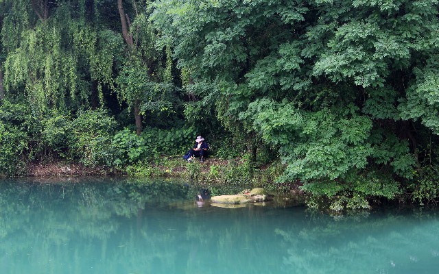 拼多多补单软件