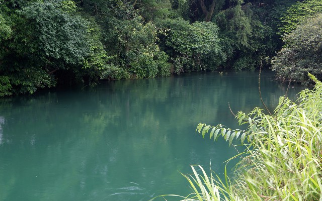 拼多多补单软件