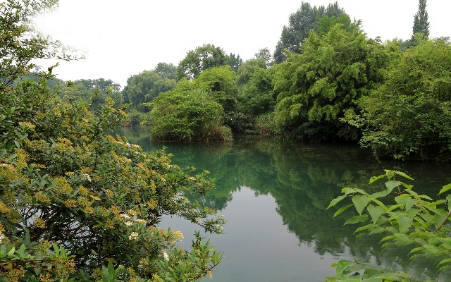 拼多多补单软件