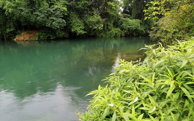 拼多多补单软件