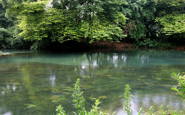 拼多多补单软件