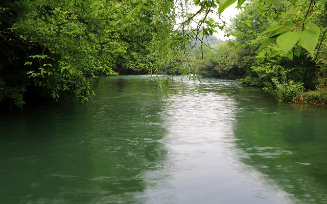 拼多多补单软件