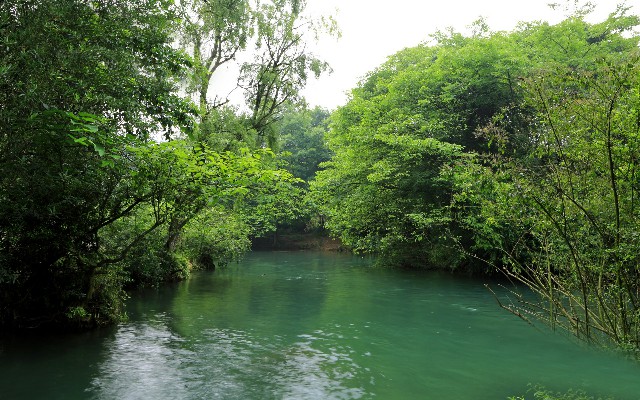 拼多多补单软件