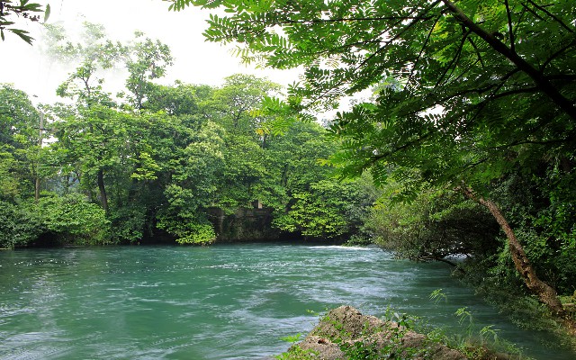 拼多多补单软件