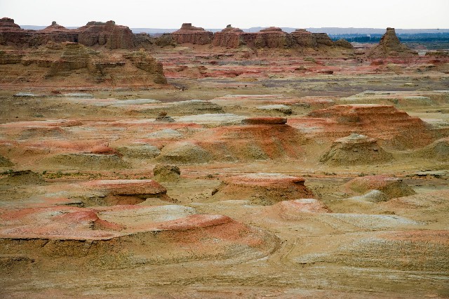 拼多多补单软件