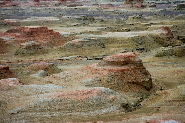 拼多多补单软件