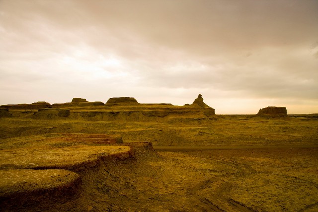 拼多多补单软件