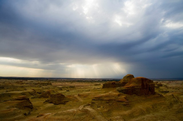拼多多补单软件