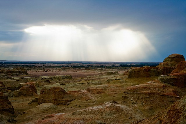 拼多多补单软件