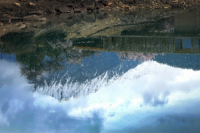 拼多多补单软件